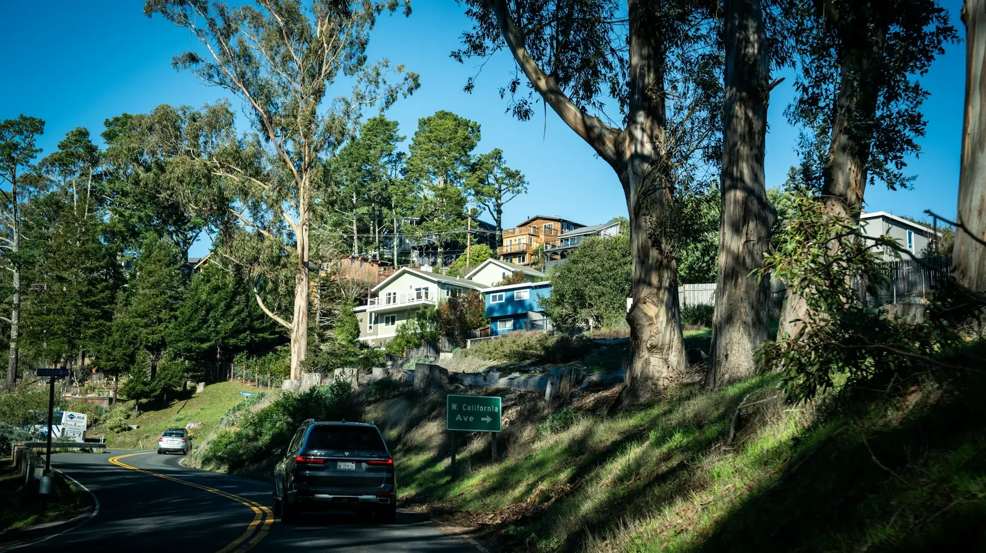 Hillside homes along a tree-lined street on a sunny day