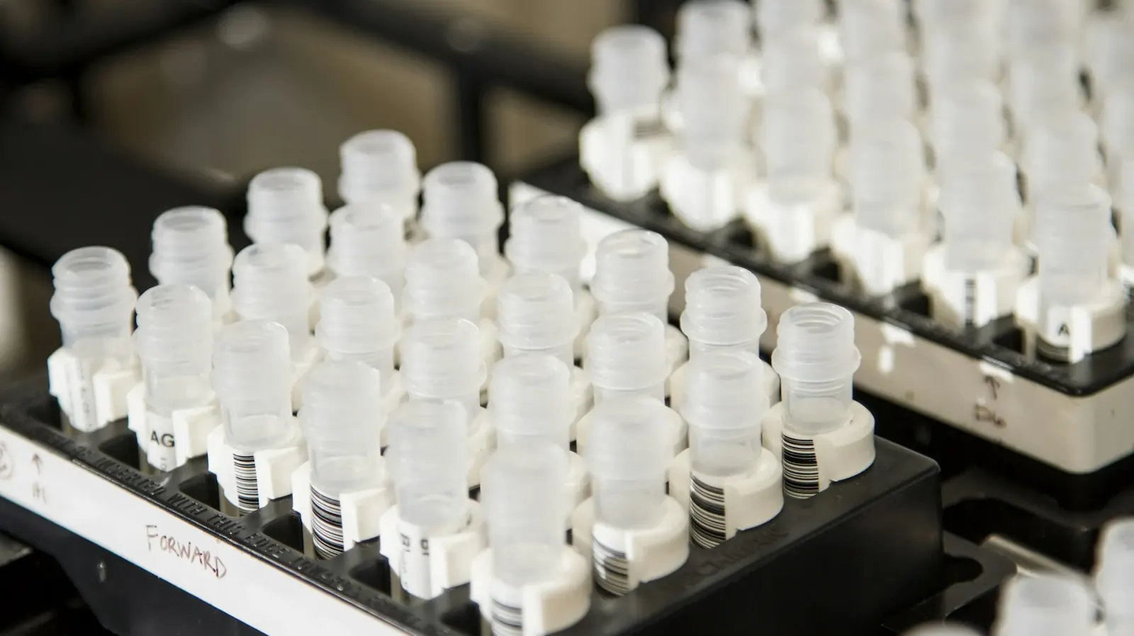 Rows of water sample bottles in a rack