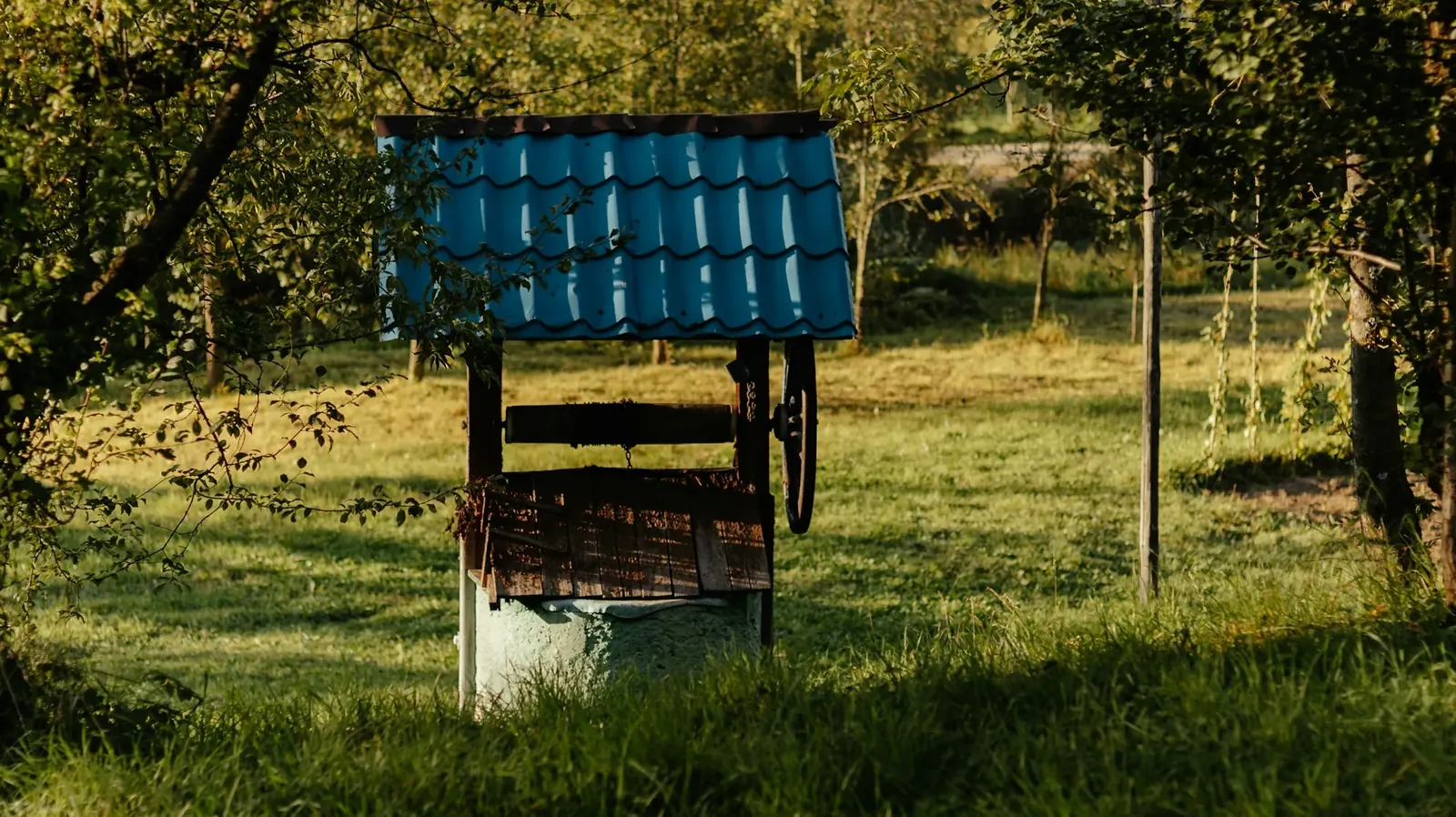 Old covered well in a sunny orchard